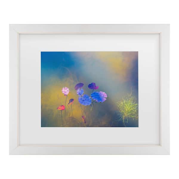 Trademark Fine Art Bernardine De Laat Water Life Matted Framed Photography Wall Art 18 in. x 22 in