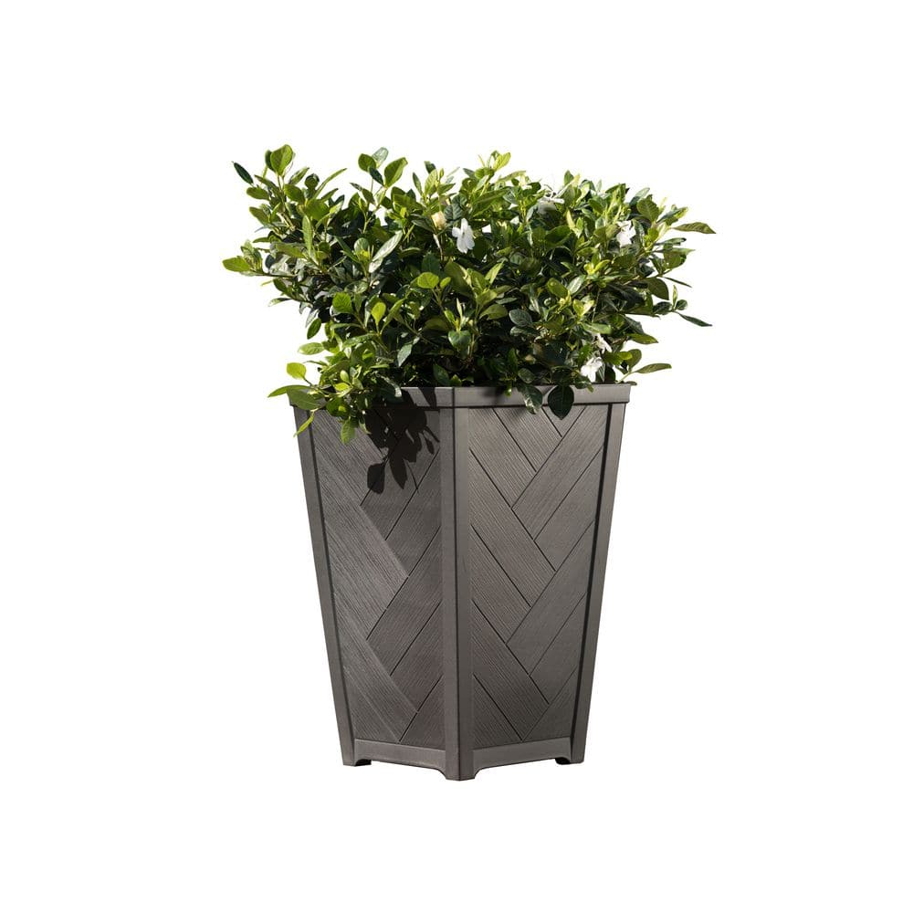 Keter Tesoro 14 in. L x 14 in. W x 22 in. H 51 qts. Black Indoor