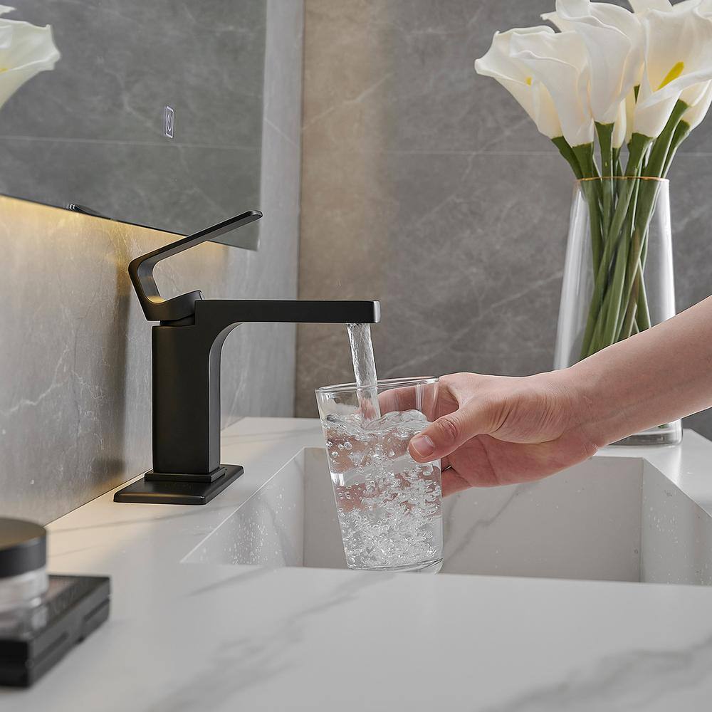Matte Black Single Handle Bathroom Faucet with Drain Assembly