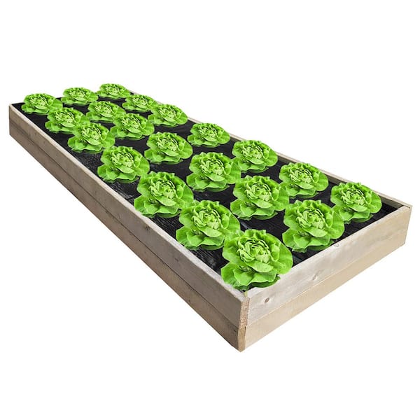 Novelty Cotton Fabric Garden Vegetables