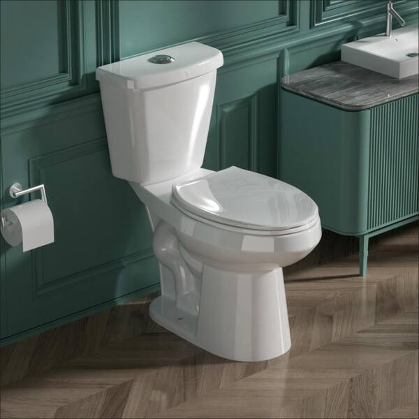 17 in. Two-Piece 1.1/1.6 GPF Dual Flush Elongated Toilet in White Seat Included