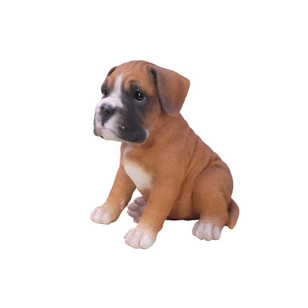 Adorable Brown and White Resin Boxer Puppy Statue