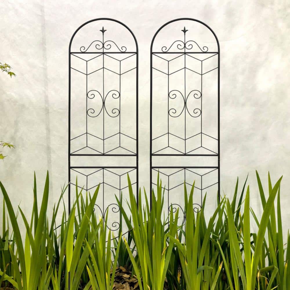 "2-Piece 86.7"" x 19.7"" Black Galvanized Steel Garden Trellis, Rustproof Plant Support for Climbing Plants" price history on PriceWatchPro