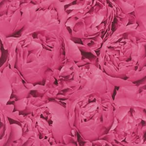 Rosenfield Pink Floral Wallpaper Sample