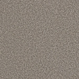 Folklore I - Peace Beige - 45 Oz. SD Polyester Texture Installed Carpet