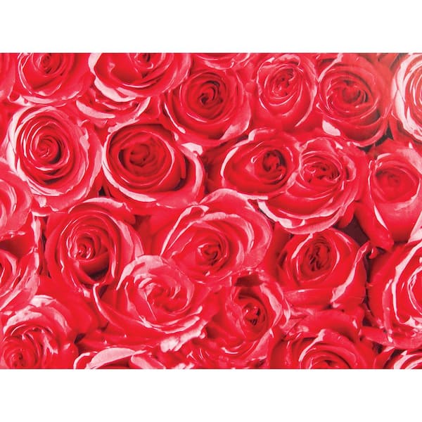 Fablon Red Roses Adhesive Film (Set of 2)