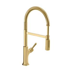 Locarno Single-Handle Pull Down Sprayer Kitchen Faucet in Brushed Gold Optic