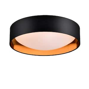 Rae 17 in. Matte Black Flush Mount Ceiling Light with Dimmable LED Light and Eye Protection