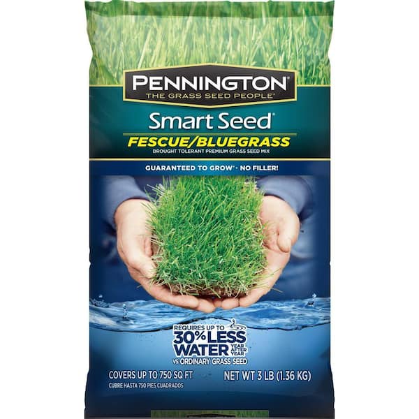 Pennington Smart Seed 3 lb. Fescue/Bluegrass Grass Seed Mix