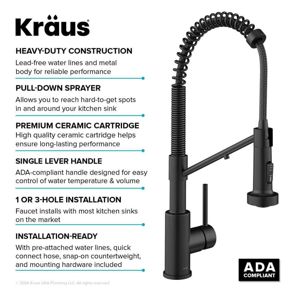 Matte Black 2-in-1 Pull-Down Kitchen Faucet with Water Filter