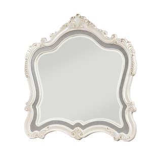 Chantelle 45 in. x 2 in. Classic Novelty Framed Pearl White Decorative Mirror