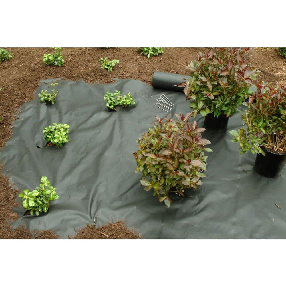 Dalen 4" Recycled Steel Garden Staples, 40-Pack