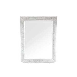 Rectangular Distressed Silver Decorative Framed Bathroom Vanity Wall Mirror (42 in. H x 30 in. W)