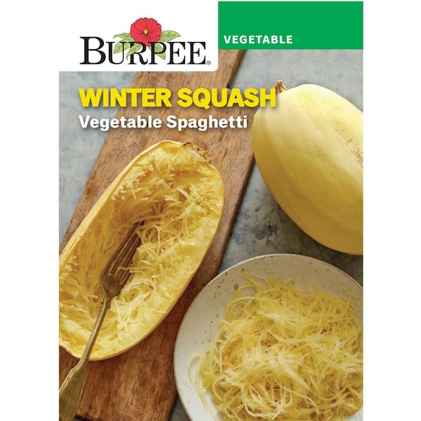 Squash Winter Vegetable Spaghetti Vegetable Seed