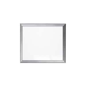 Cool Silver Slim Wall Mirror 30 in. W x 25 in. H