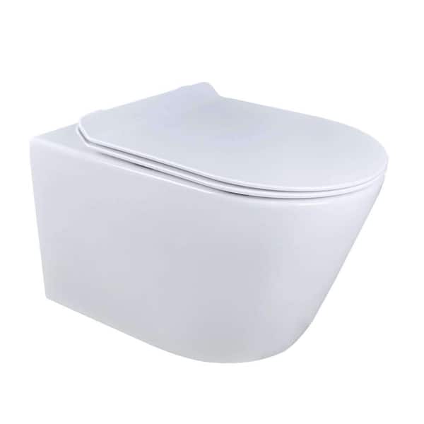 FINE FIXTURES Dakota Wall-Hung 2-piece 1.6 GPF Dual Flush Round Toilet in White with Tank and Dual Flush Plate Seat Included