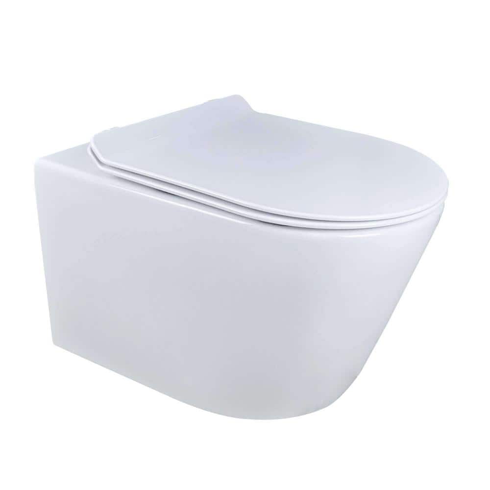 PREMIUM 100 wall-mounted washdown toilet SET with mounting