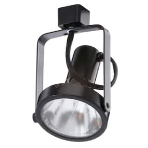 PAR30 Basic Gimbal Black Track Lighting Head