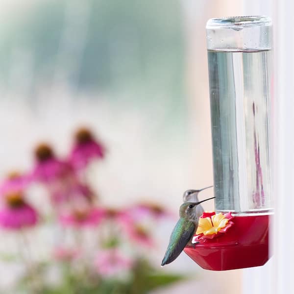 Violet Hummingbird Feeder 14 - store 16 oz.