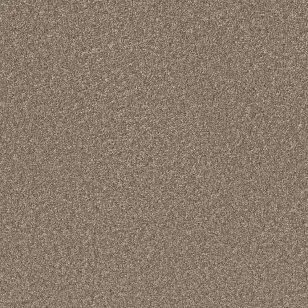8 in. x 8 in. Texture Carpet Sample-Gentle Glimmer I-Color Glisten price history on PriceWatchPro