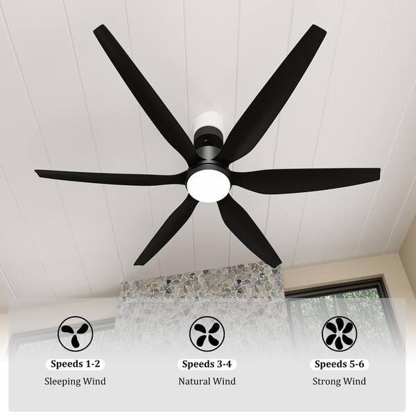 新品未開封 NEIGHBORHOOD SRL LIGHTING FAN 新品未開封 NEIGHBORHOOD SRL LIGHTING FAN