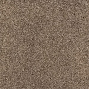 Spicework I  - Springer - Brown 40 oz. SD Polyester Texture Installed Carpet