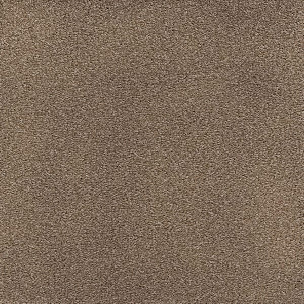 Home Decorators Collection Spicework I - Springer - Brown 40 oz. SD Polyester Texture Carpet - Installation Required