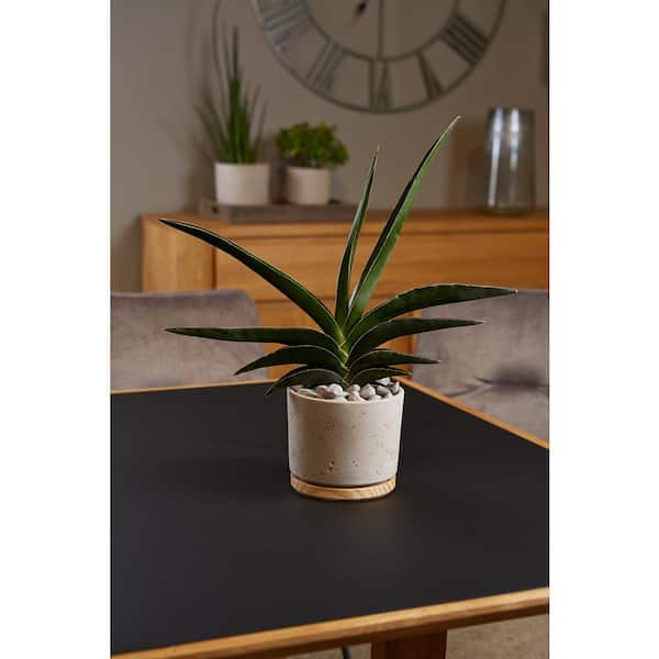 Vigoro Imani Small Gray Textured Ceramic Planter with Attached