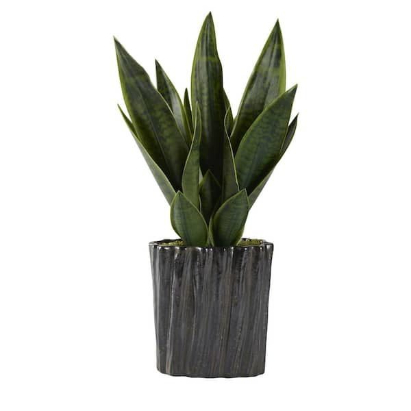 D&W Silks Indoor Artificial Mother-in-Law's Tongue in Ceramic Planter with Braided Detail