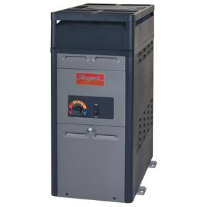 PR106AAPC 105,000 BTU Heater Electronic Ignition - LP