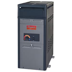 PR106AENC 105,000 BTU Heater Electronic Ignition - NG