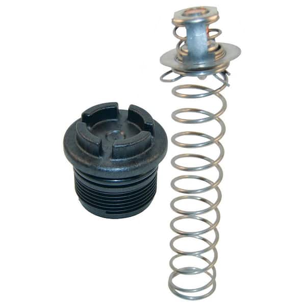 Thermal Regulator replacement package for Select Pool Heaters