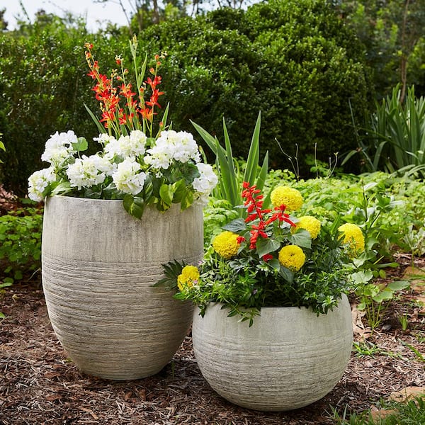 pot for plants near me 6 inch Reed Grey Round Cement Planter - Plant Pot with Drainage Hole