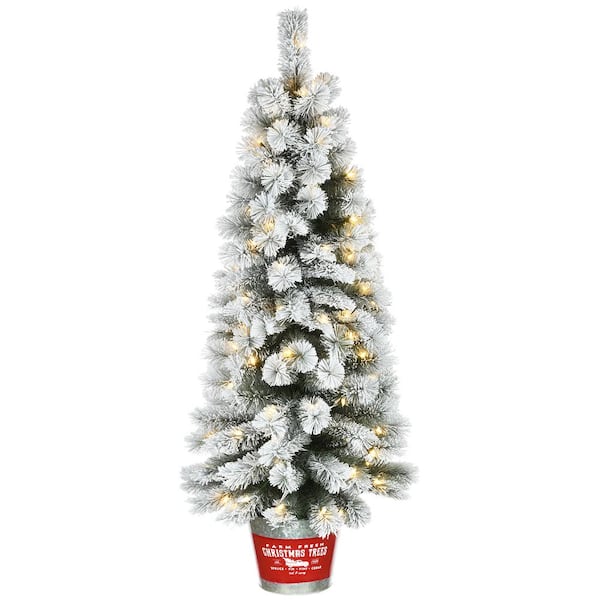 National Tree Company 5 ft. Snowy Pogue Pine Entrance Artificial Christmas Tree with LED Lights