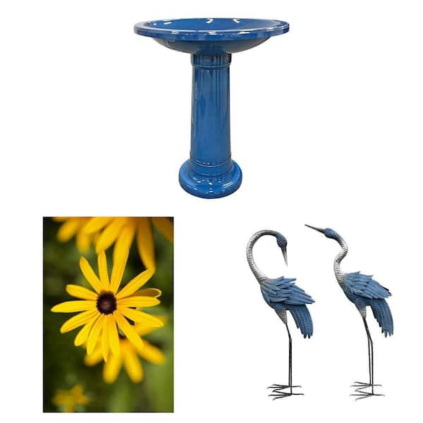 17.4 in. Dia. Cobalt Blue Birdbath, 3 Gal. Black-Eyed Susan, and 40 in. Heron Statues (2-Pack) Combo