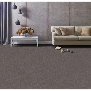 Founder - Designer - Brown 18 oz. SD Polyester Texture Installed Carpet