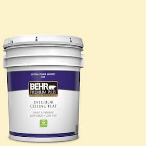 5 gal. #390A-3 Twinkle Ceiling Flat Interior Paint