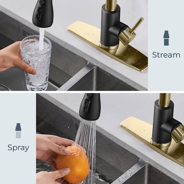 Reviews for FORIOUS Single-Handle Kitchen Faucet with Pull Down Reviews for FORIOUS Single-Handle Kitchen Faucet with Pull Down