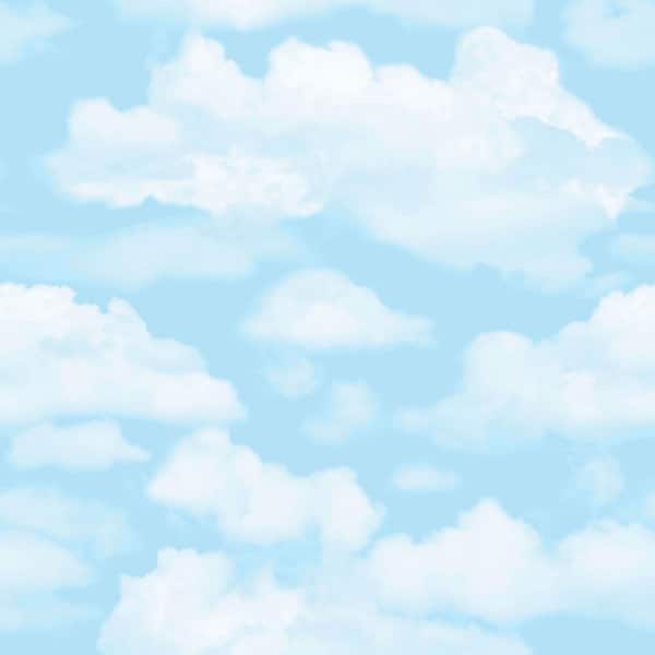 TRANSFORM Transform Sky Blue Peel and Stick Wallpaper