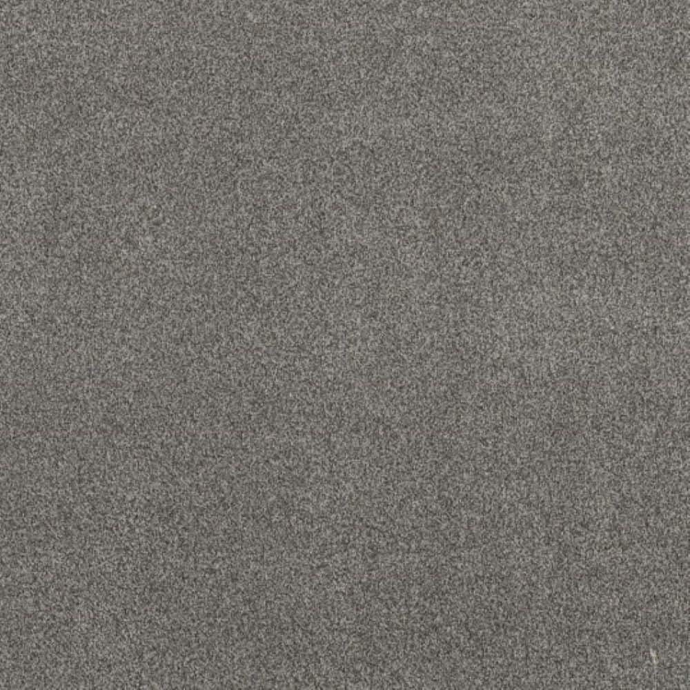 8 in. x 8 in. Texture Carpet Sample - Urban Artifact II - Color Sterling price history on PriceWatchPro