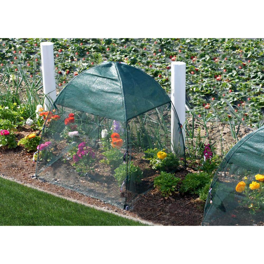 Green 52" x 52" Pop-Up Garden Netting Bug and Shade Cover