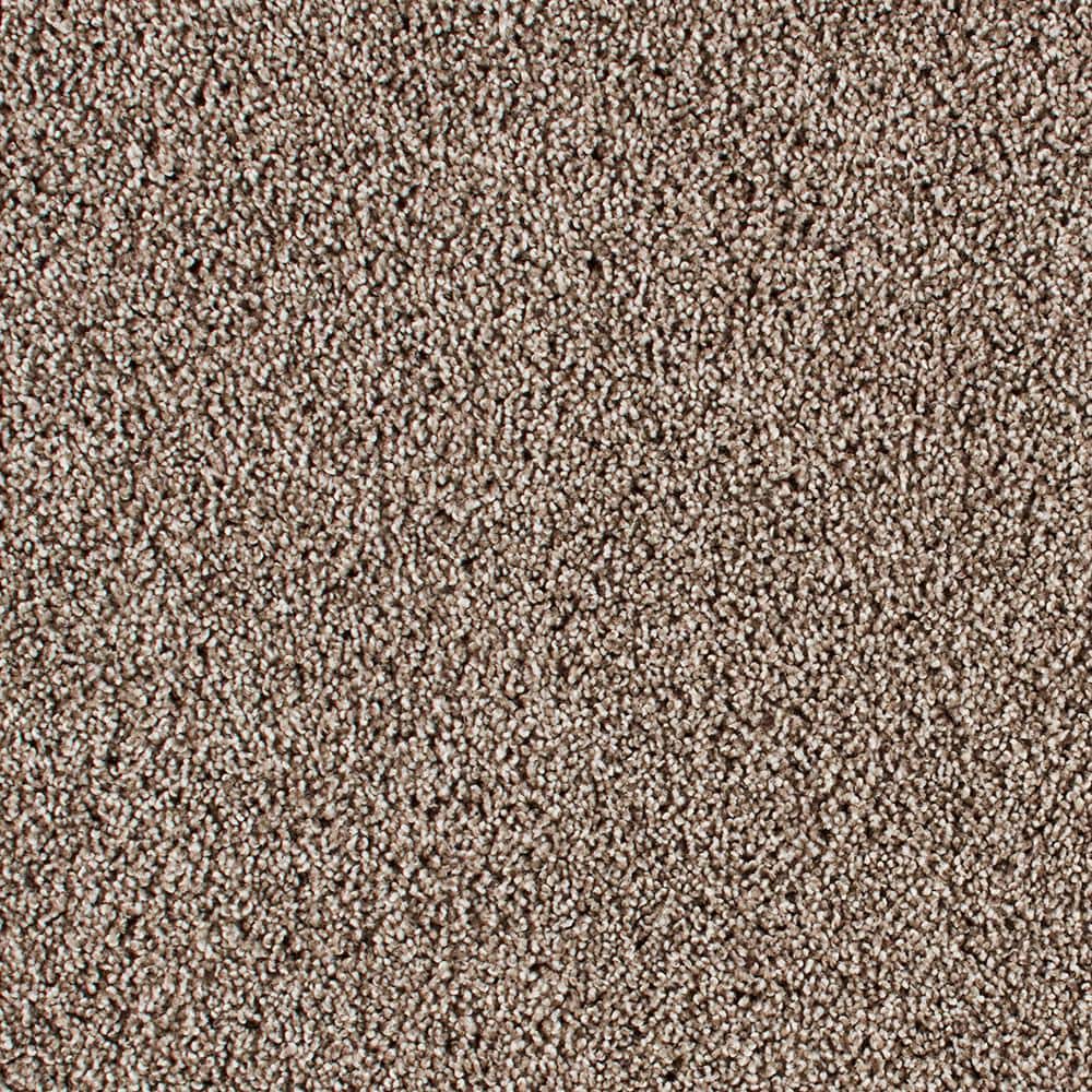 8 in. x 8 in. Texture Carpet Sample - Huntcliff I -Color Country Side price history on PriceWatchPro