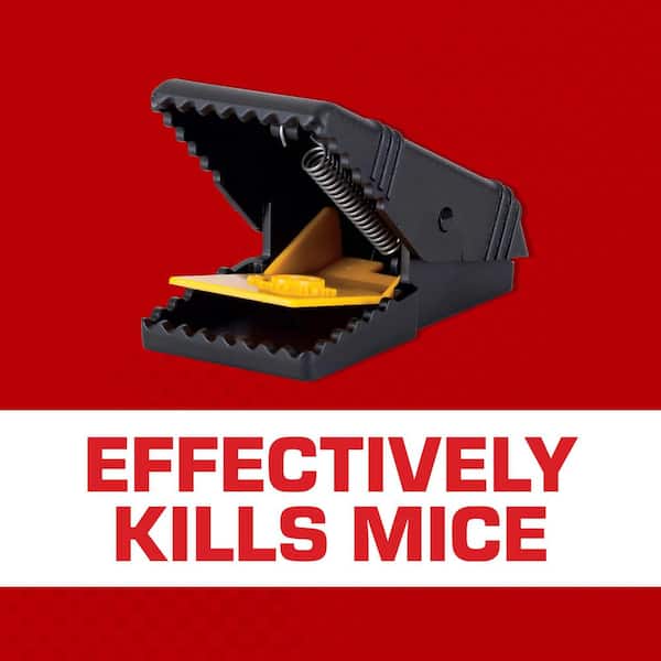 Mouse Snap Trap, Effectively Kills Mice for Clean, No-Touch Disposal, 4 Traps