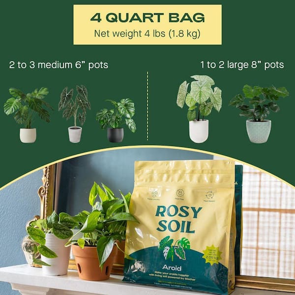 Rosy Soil Indoor Aroid Soil Potting Mix 4 qt