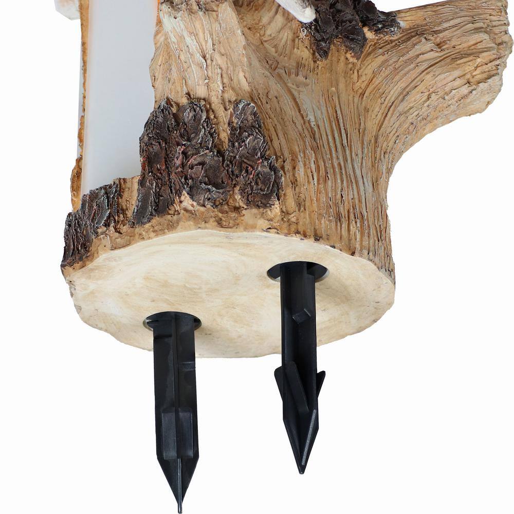 Rustic Brown Polyresin Tree Stump Bird Bath with Solar LED Address Plate