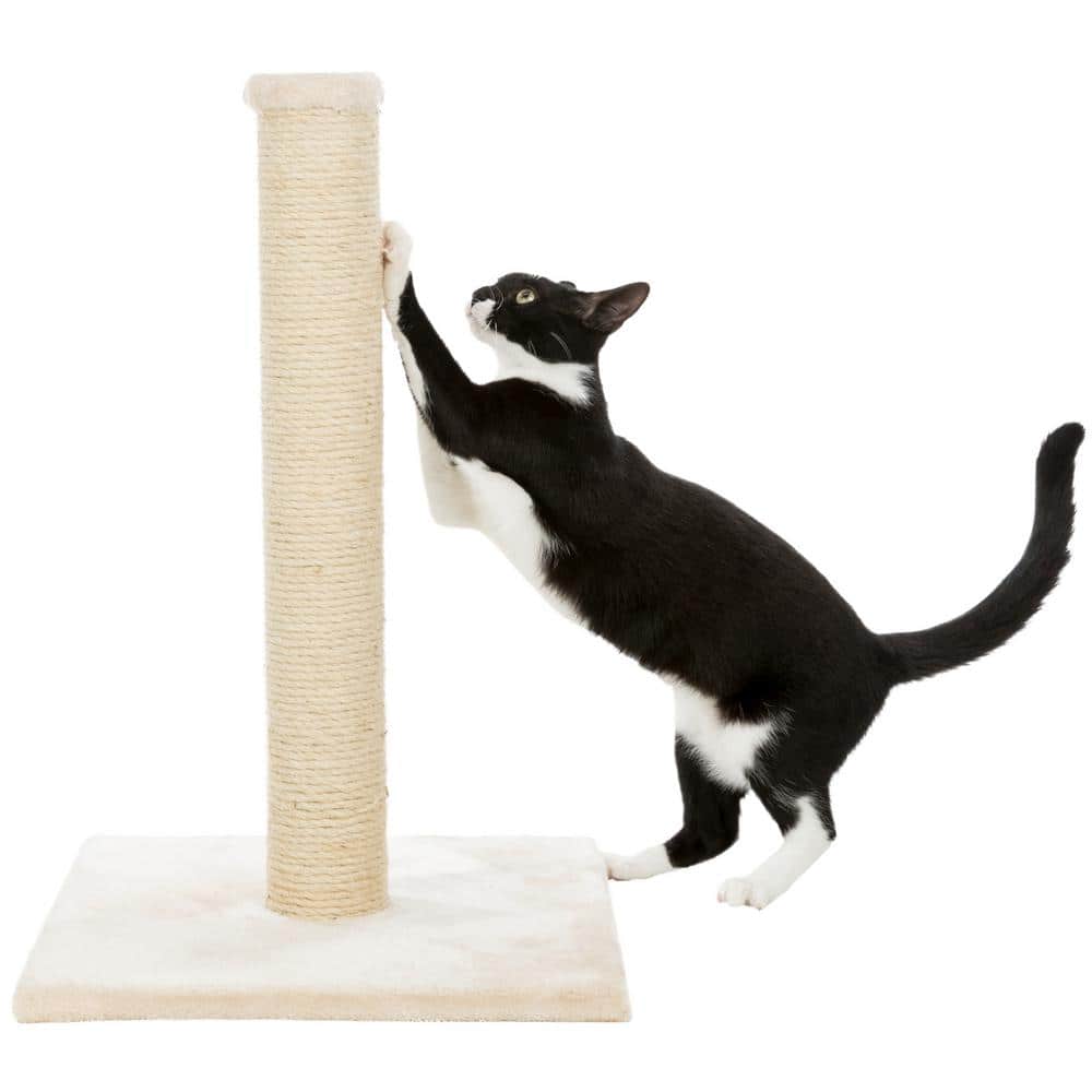 Beige Sisal Cat Scratching Post with Plush Base