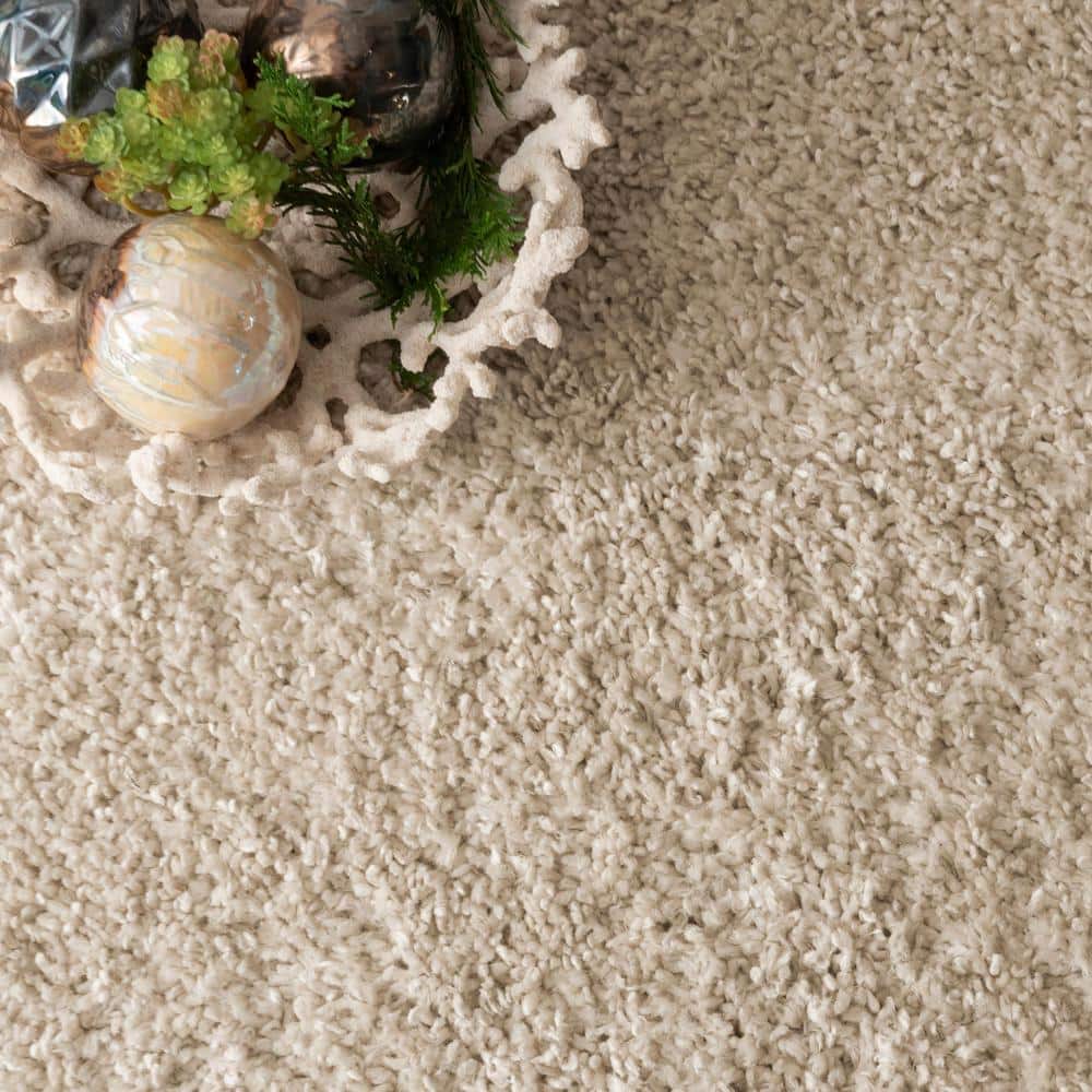 Beige Braided Rectangular Shag Area Rug 4' x 6'
