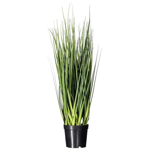 Vickerman 24 in. Artificial Potted Extra Full Green Grass