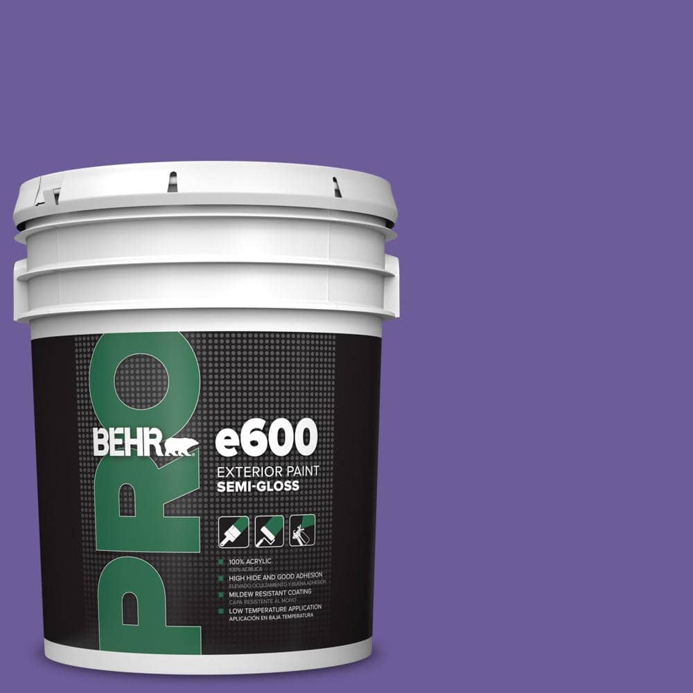5 gal. #P560-6 Just a Fairytale Semi-Gloss Exterior Paint price history on PriceWatchPro
