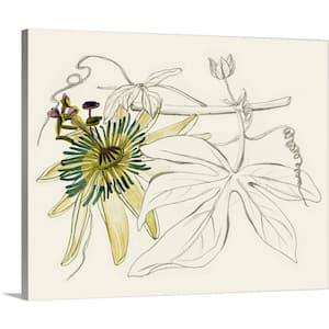 Passionflower I'' by Melissa Wang One Piece Museum Grade Giclee Unframed Nature Art Print 30 in. x 24 in. .